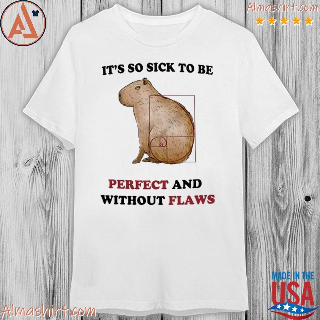 Official it's so sick to be perfect and without flaws shirt
