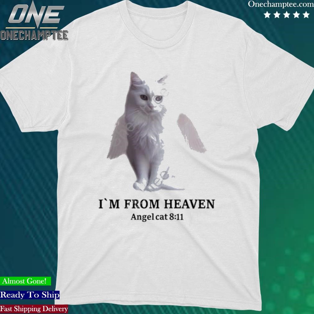 Official itzavibe Merch Angel Cat T-Shirt