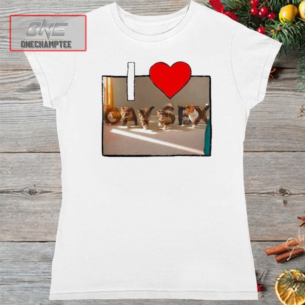 Teenhearts I Love Gay Sex Cat Shirt, hoodie, long sleeve tee