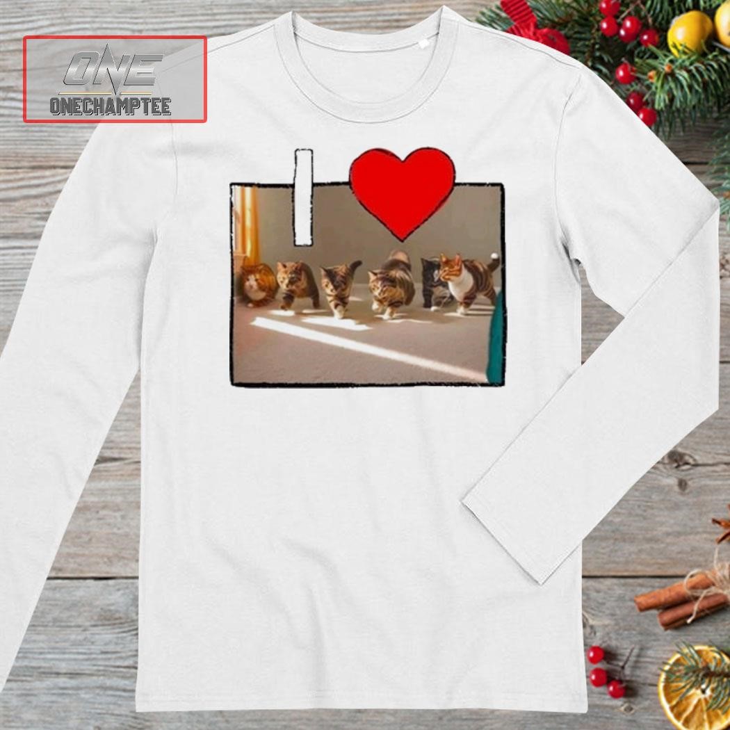 Teenhearts I Love Gay Sex Cat Shirt, hoodie, long sleeve tee