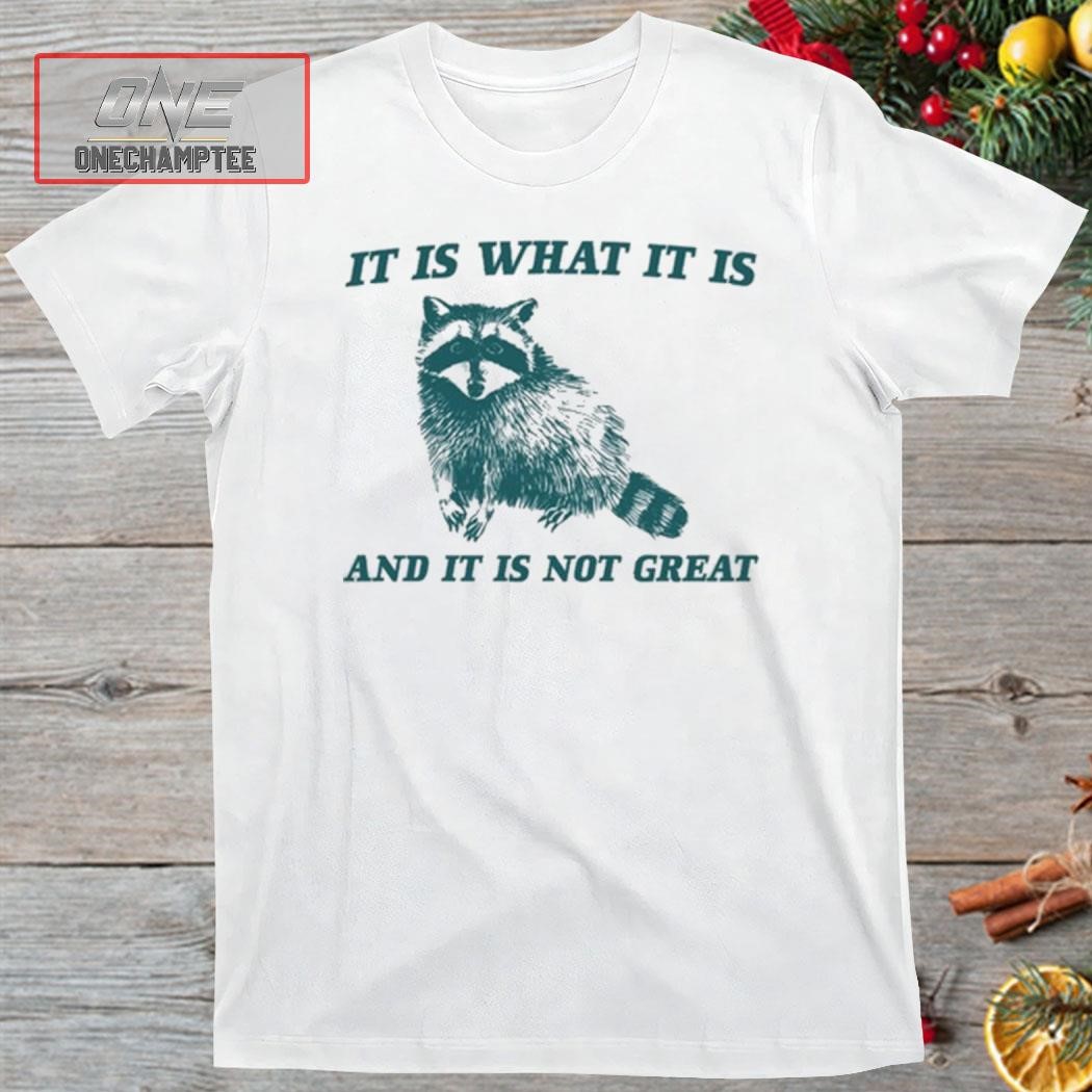 Raccoon Meme Daily It Is What It Is And It Is Not Great New Shirt