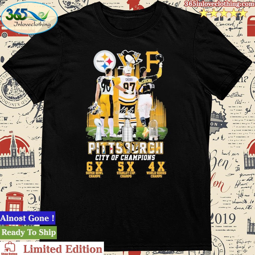 2020 AFC North division Champions Pittsburgh Steelers shirt, hoodie,  sweater and long sleeve