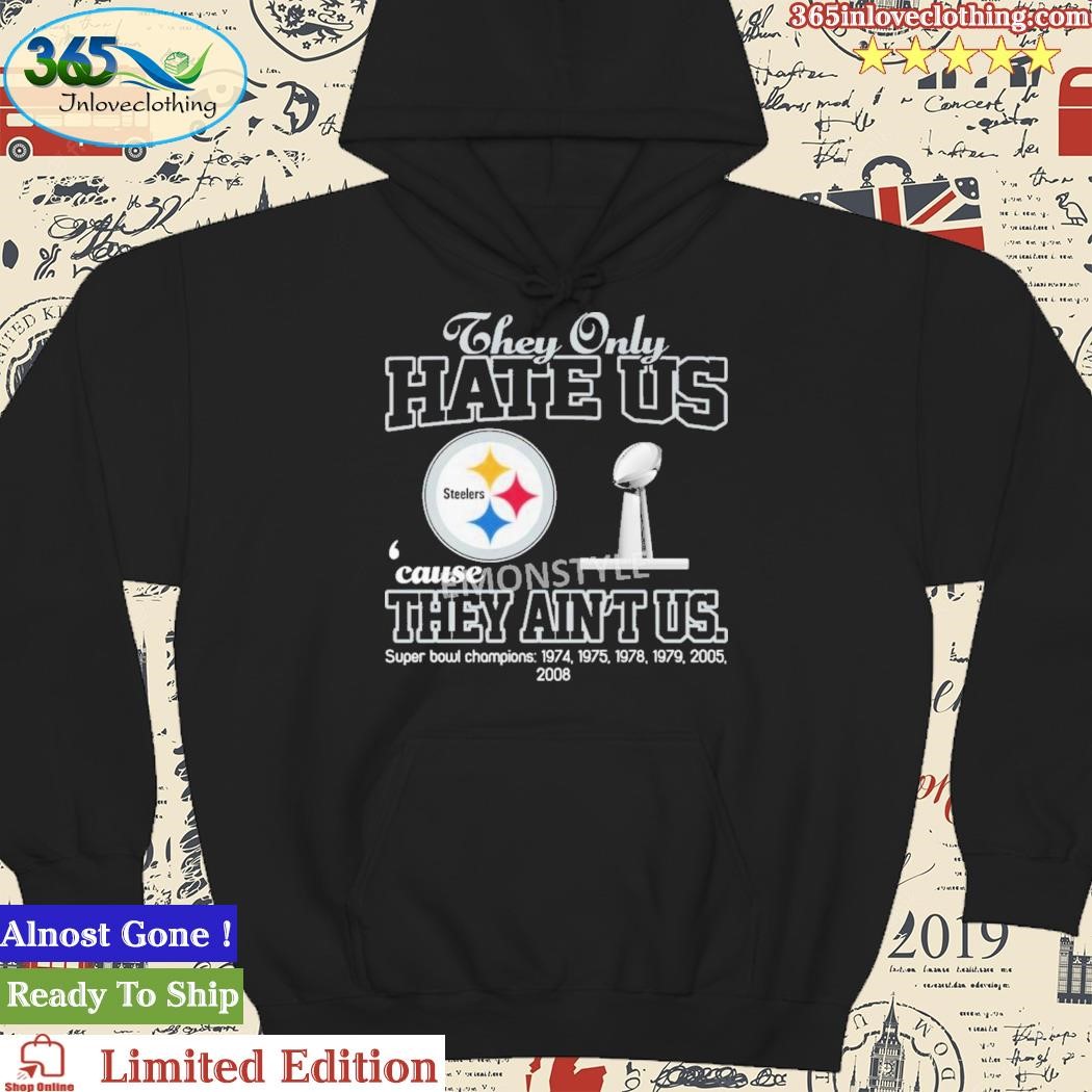 Official pittsburgh Steelers Champions Super Bowl Shirt, hoodie, sweater,  long sleeve and tank top